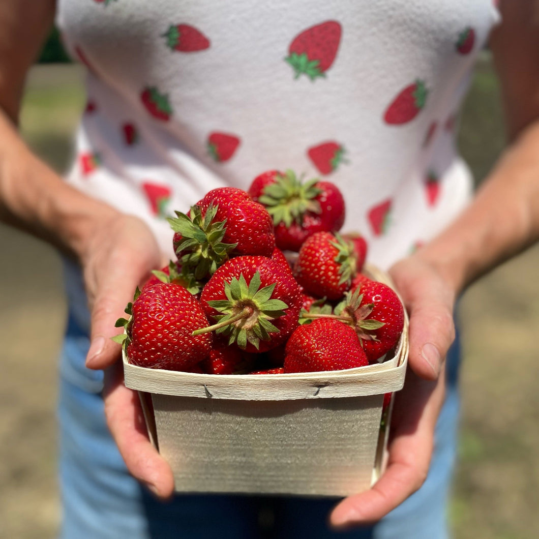 Best of Verrill Farm 2025 PYO Season