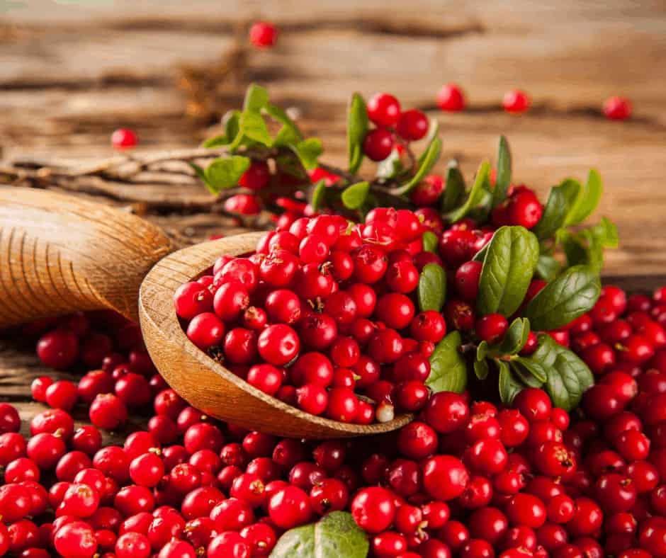 Whole Cranberry Sauce - Pint