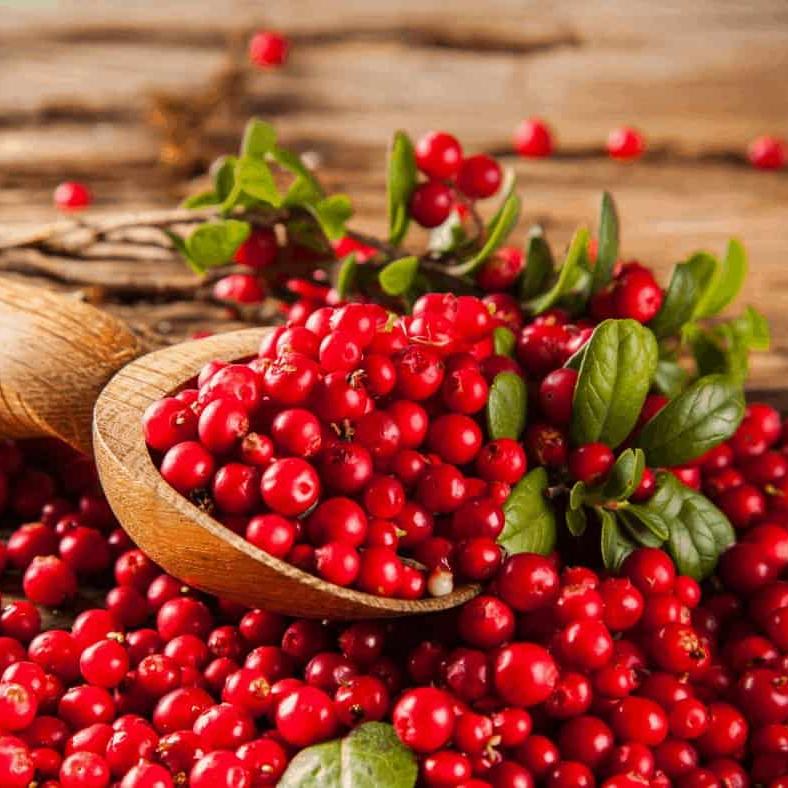 Whole Cranberry Sauce - Pint